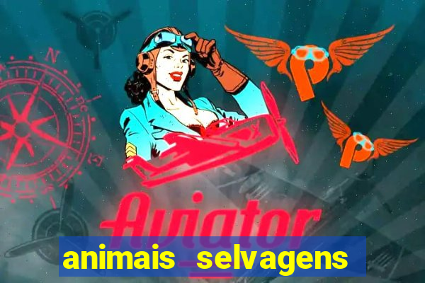 animais selvagens fotos e nomes